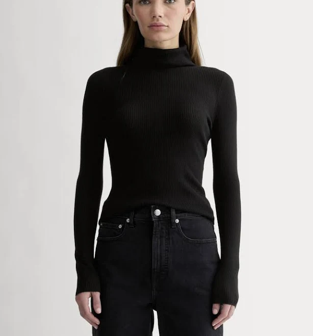 top Everlane Ultrasoft Merino Turtleneck Sweater Everlane $83