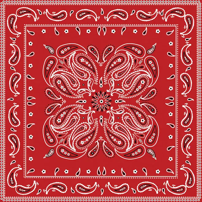 accessory Paisley Bandana Michaels Stores $2.99