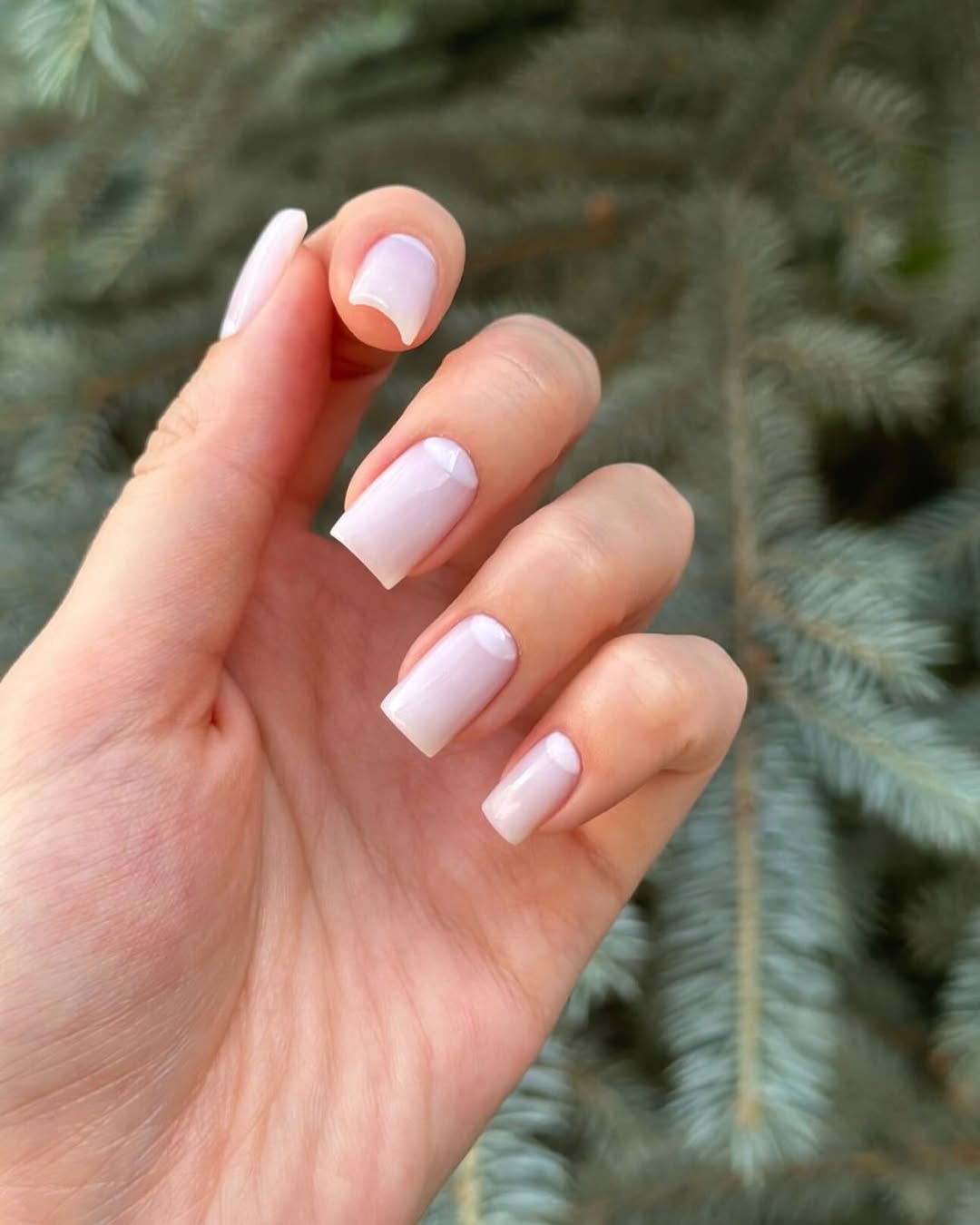 Clean Milky White Lunula French Square Tips