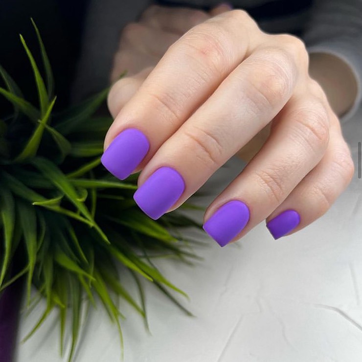 Matte Grape Purple Short Squoval Nails