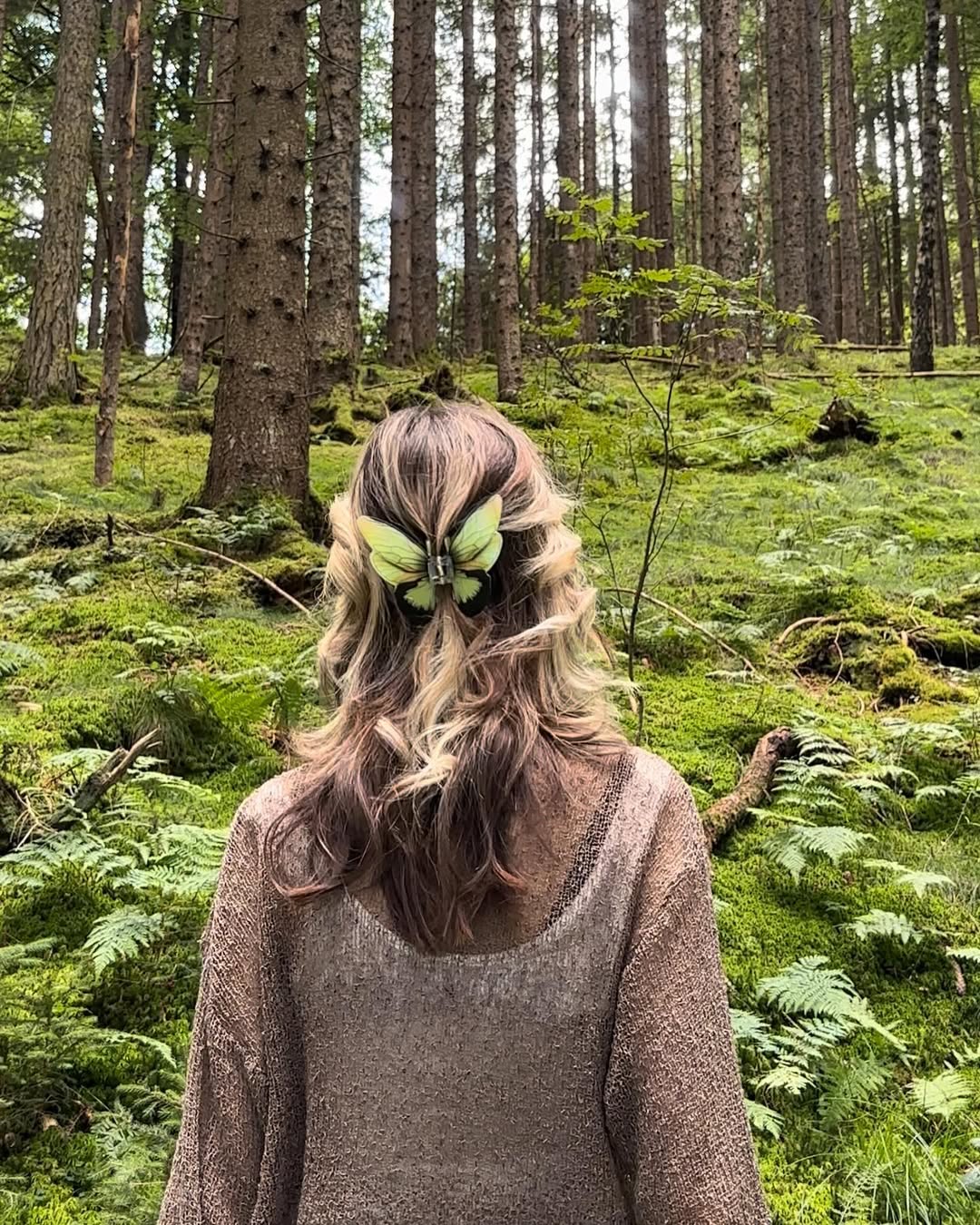 Bohemian Brunette Highlights With Butterfly Clip Accent