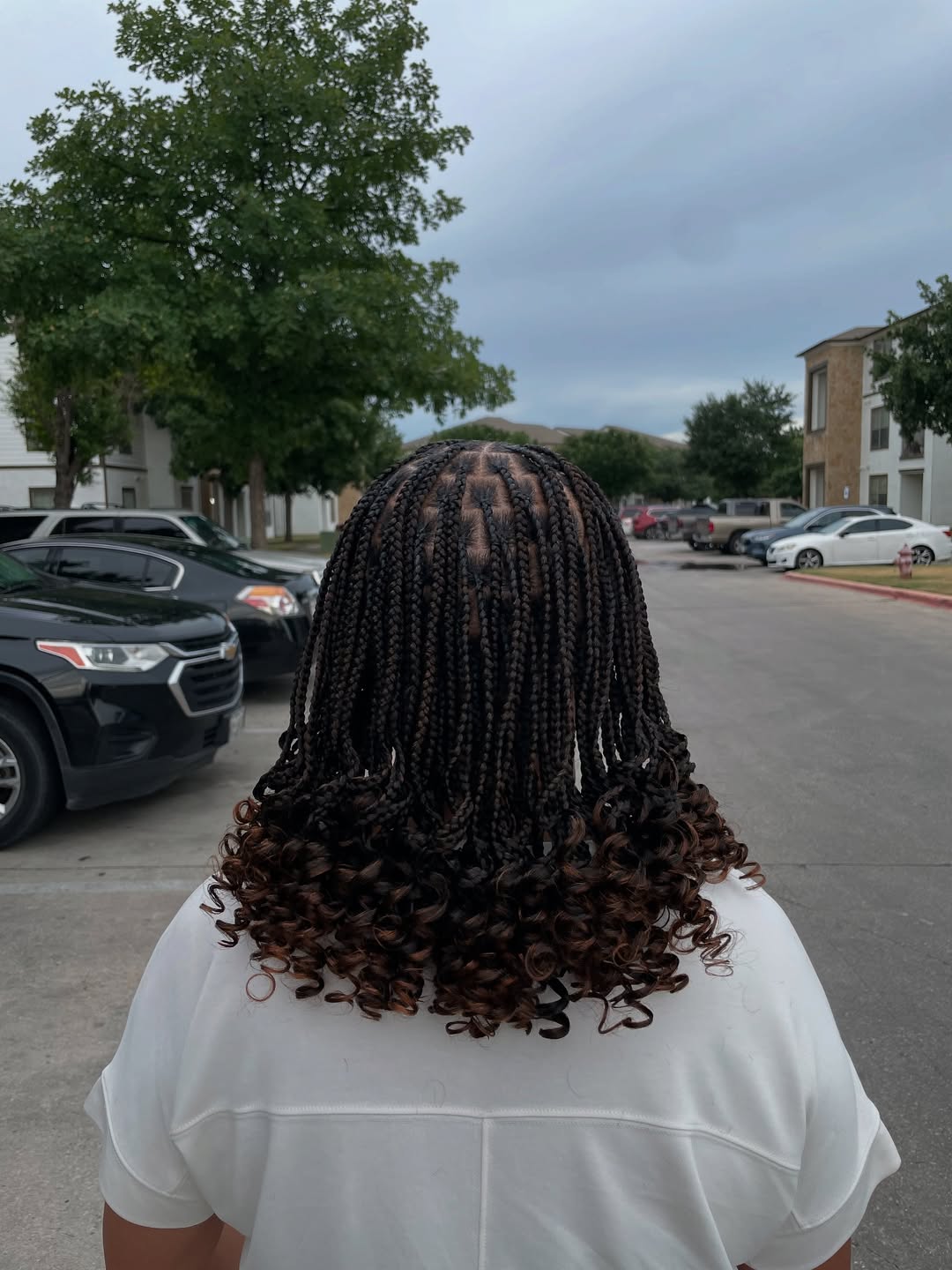 Boho Curly Ombre Box Braids