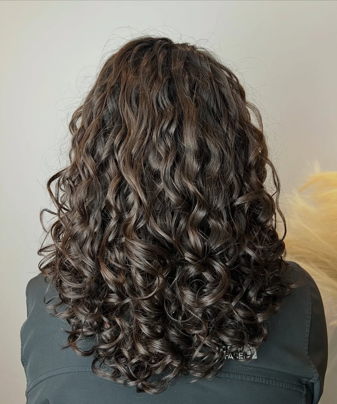 Defined Medium Length Dark Curly Hair