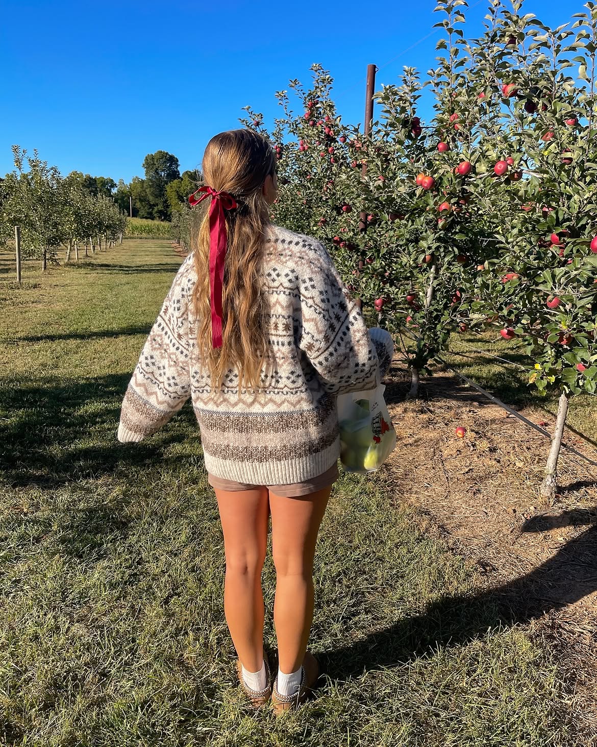 Fair Isle Sweater With Denim Shorts Fall Orchard Style