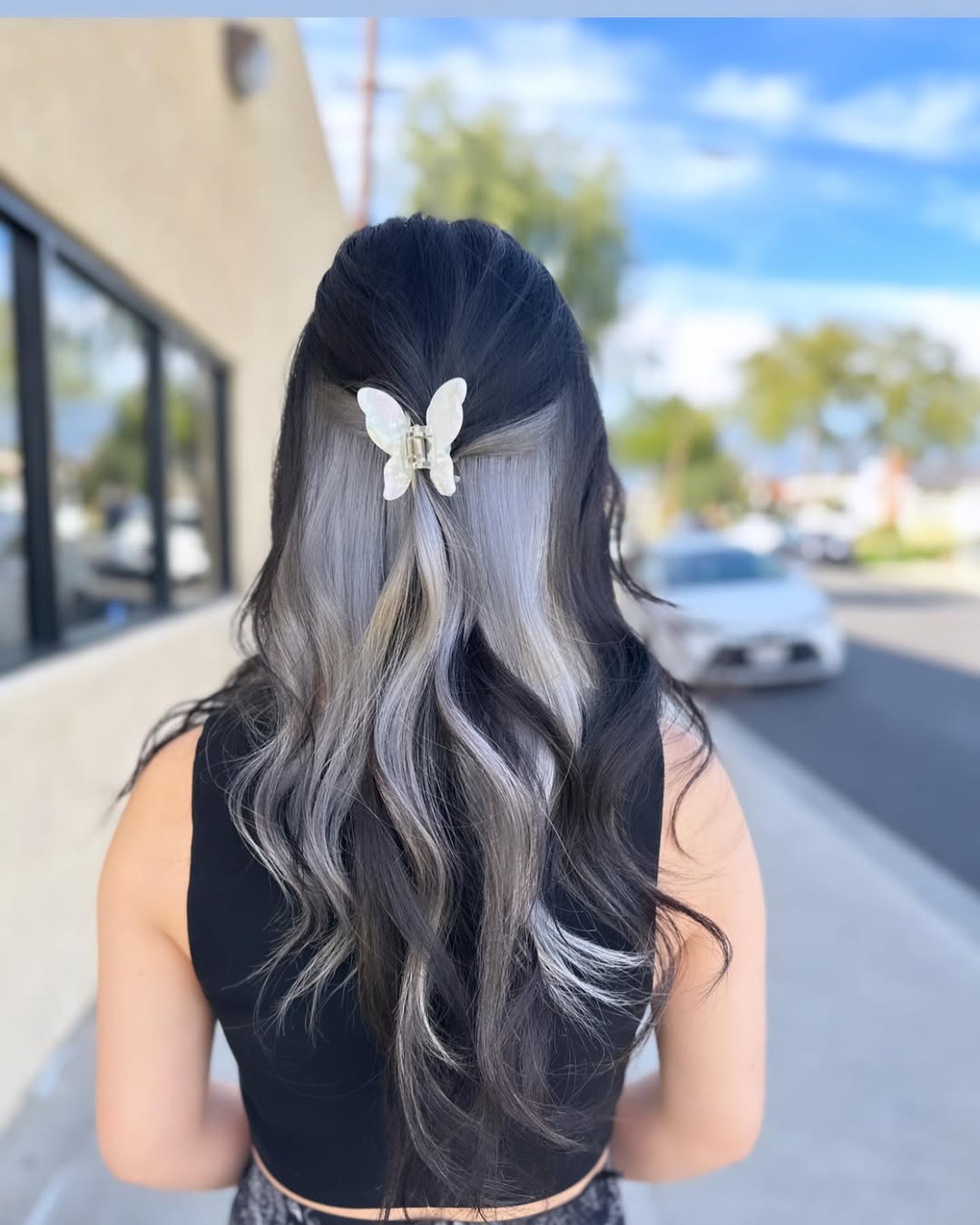 Peekaboo Silver Streaks With Butterfly Clip