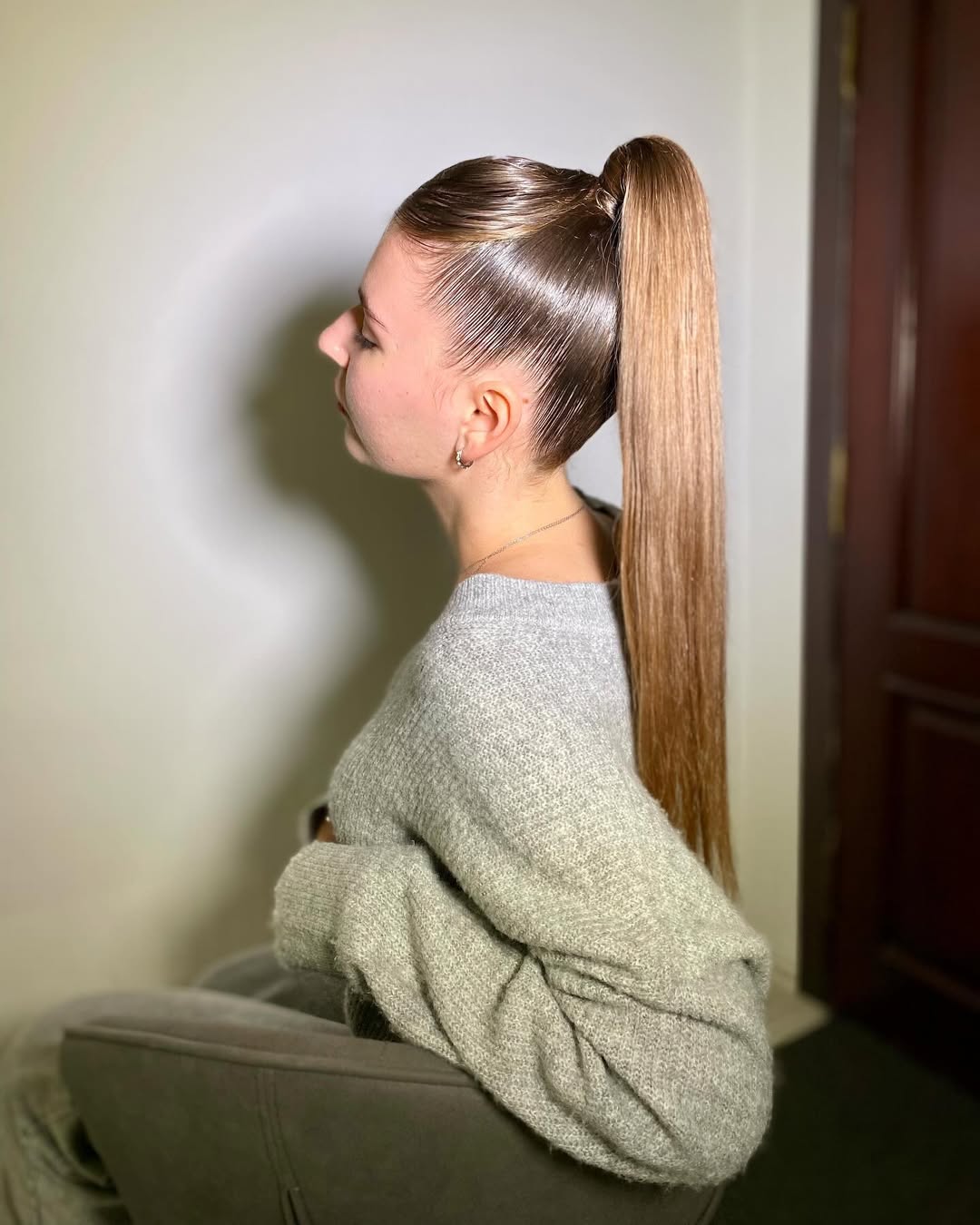 Sleek Glossy High Ponytail With Natural Brown