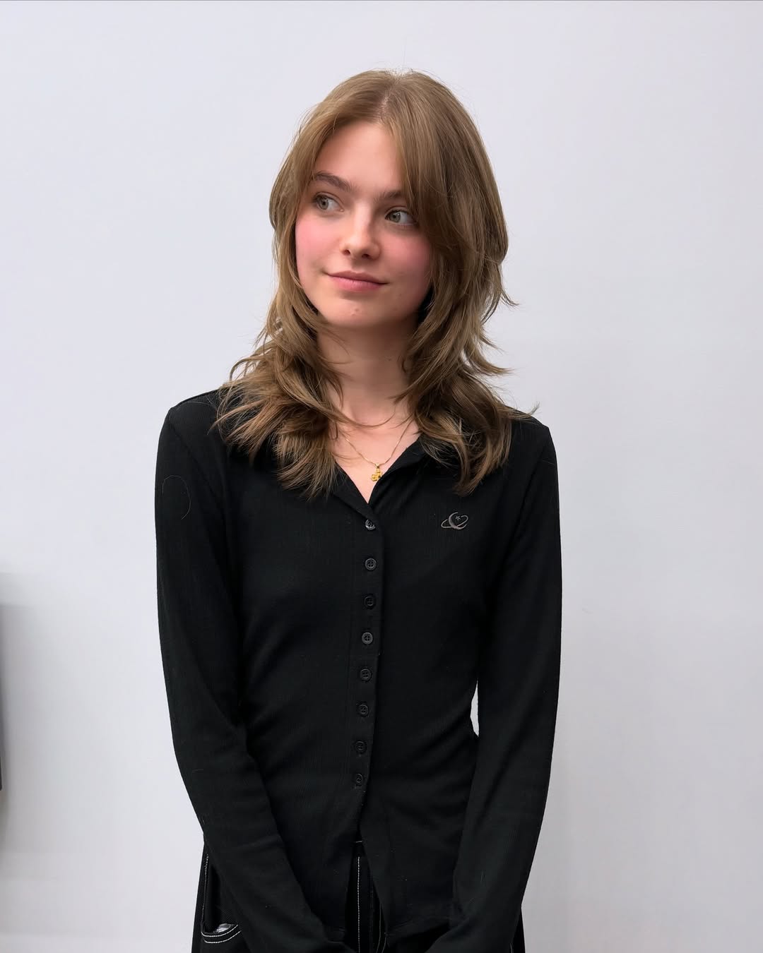 Soft Shag With Caramel Highlights And Curtain Bangs