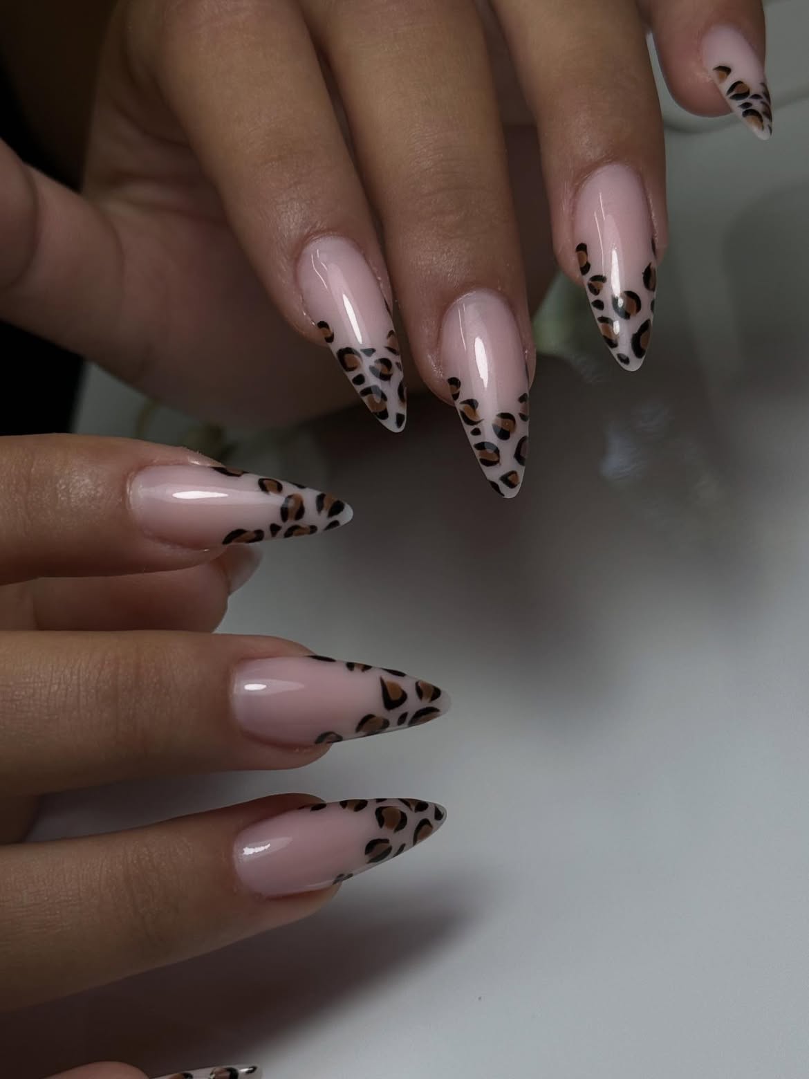 Blush Pink Leopard French Tip Stiletto Nails