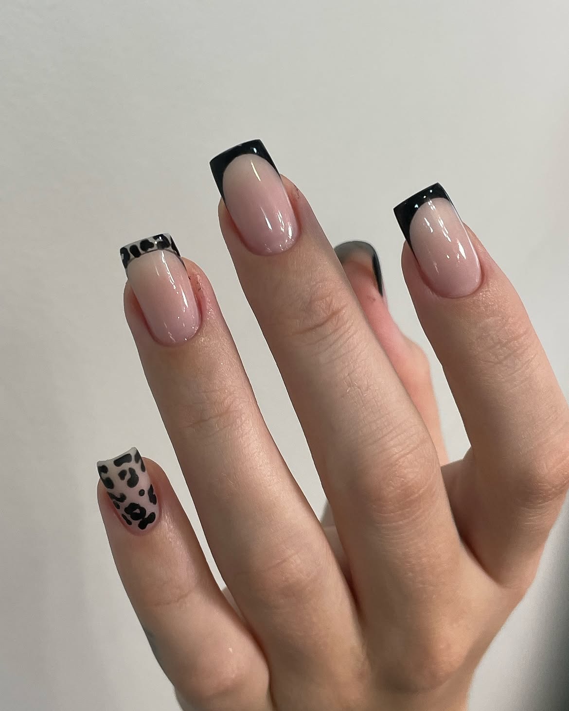 Chic Black French Tips with Leopard Accents