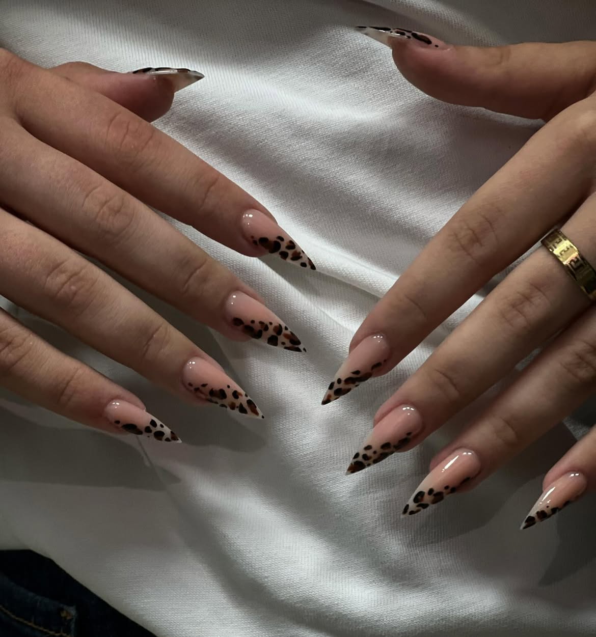 Chic Leopard Print Stiletto French Vibe
