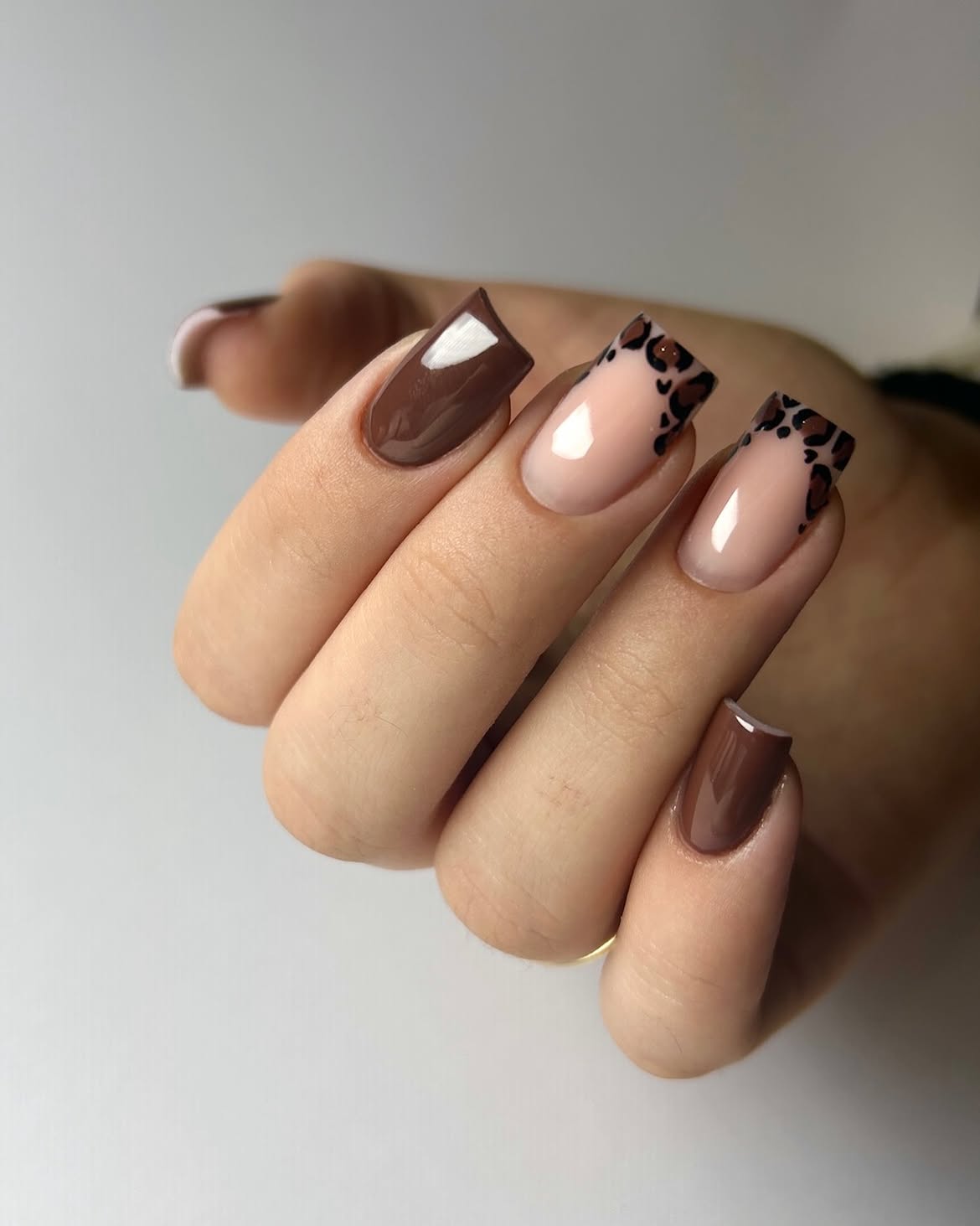 Chocolate Leopard French Tip Square Nails