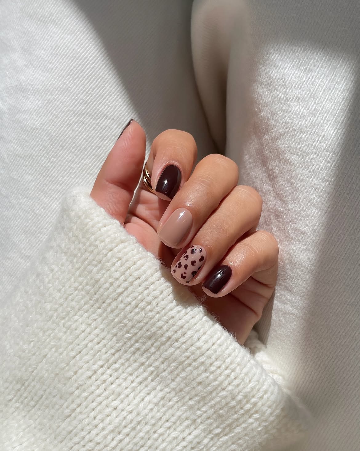 27 Must-Try Early Fall Nail Ideas For A Chic Autumn Vibe 9 Chocolate Leopard Print Aura Nails