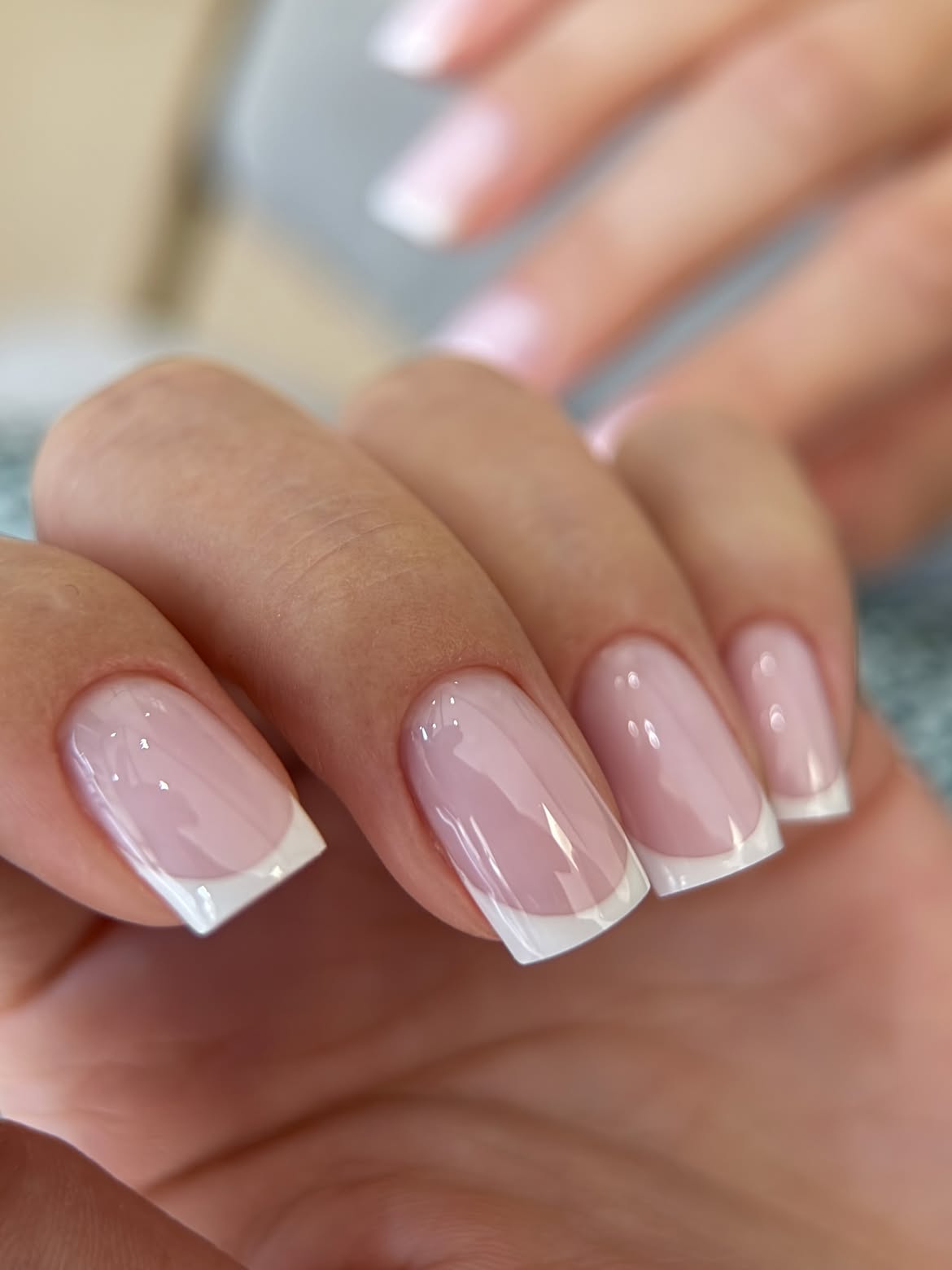 Classic French Tip Nails with Milky Pink Base