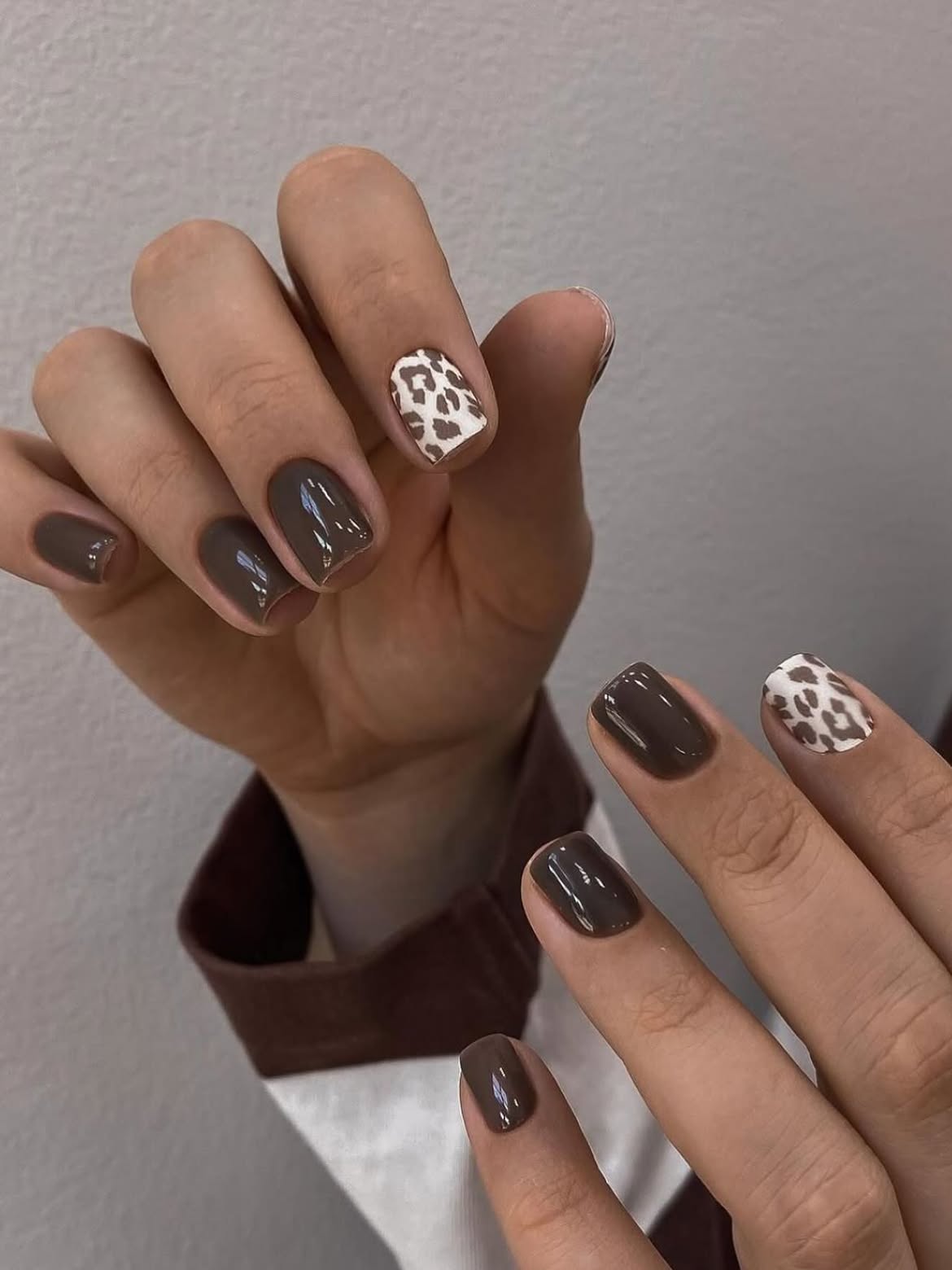 Cozy Deep Brown with White Leopard Print