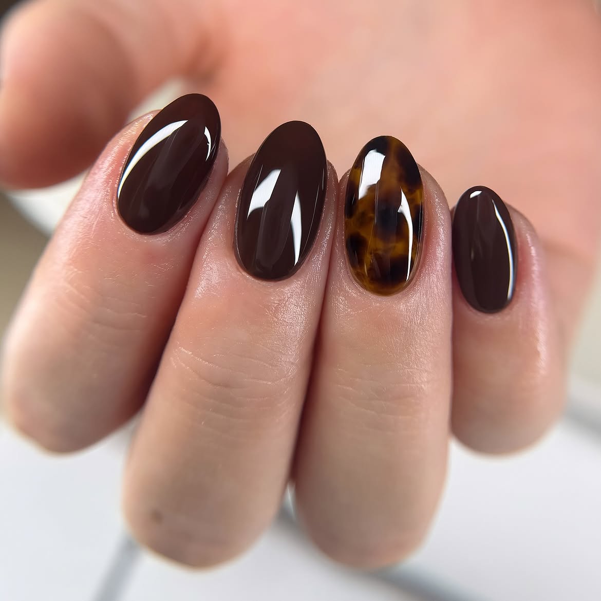 Deep Chocolate Tortoiseshell Oval Nails