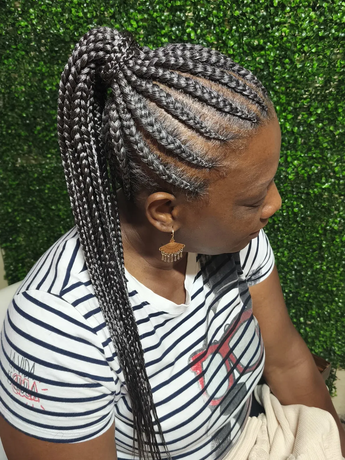 Elegant Fulani Braids In High Ponytail