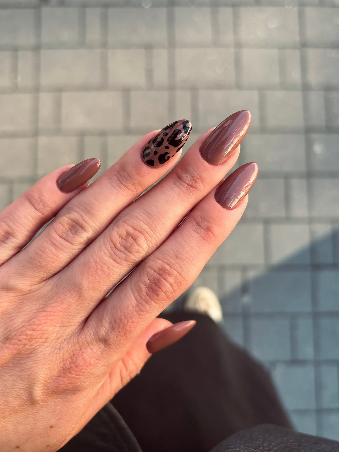Glossy Brown Leopard Print Almond Nails