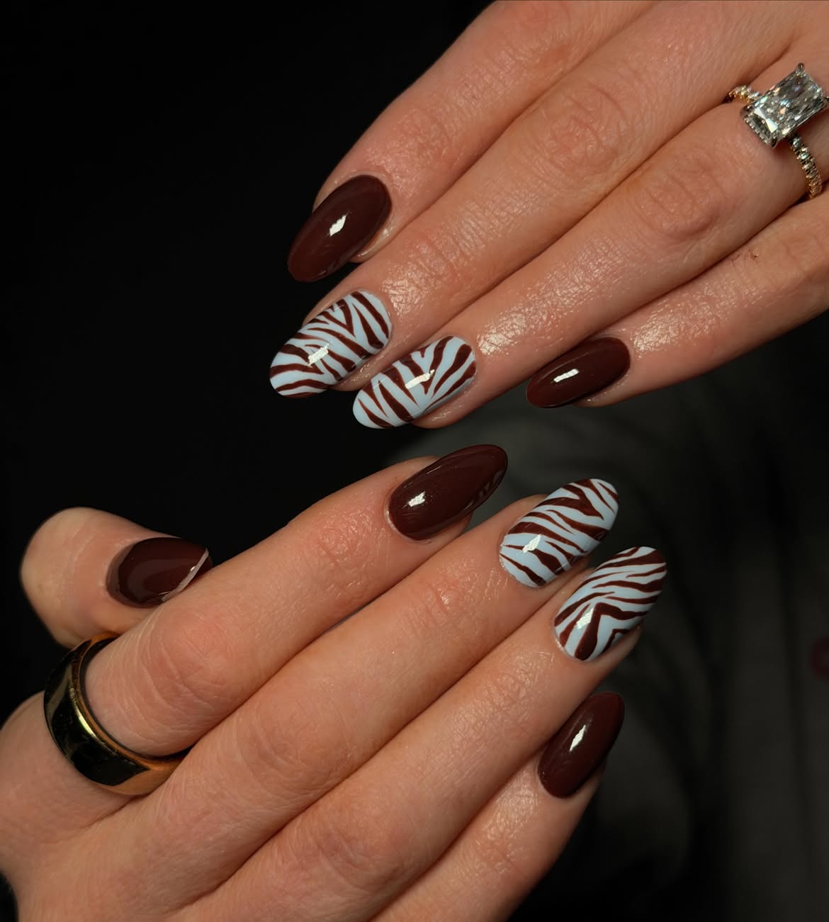 Glossy Chocolate Brown Oval Nails with Baby Blue Zebra Print