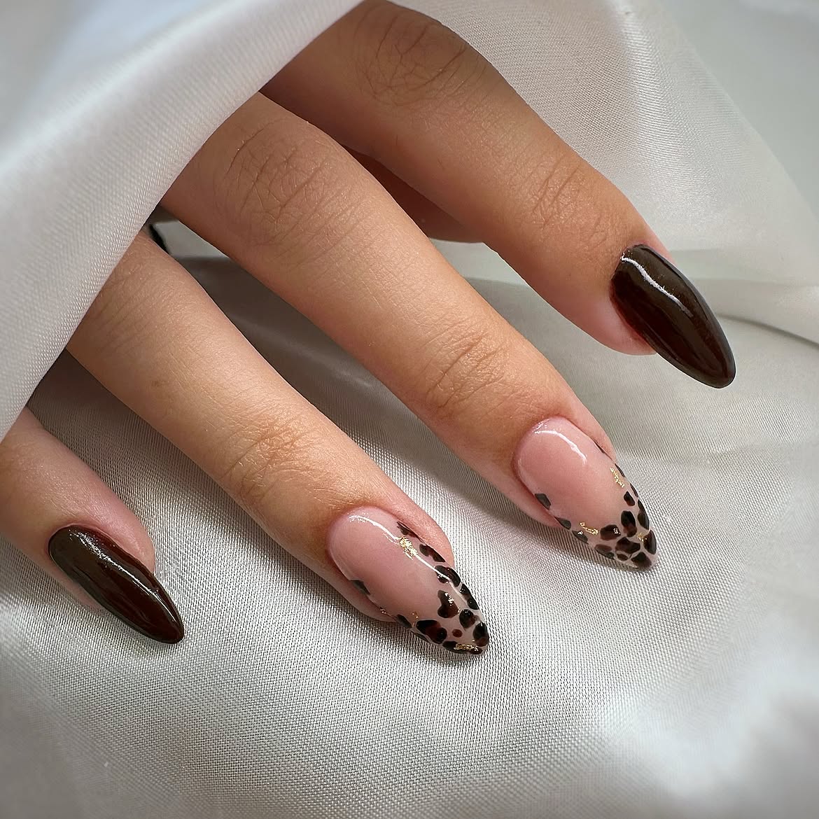 Glossy Deep Brown and Leopard French Tips