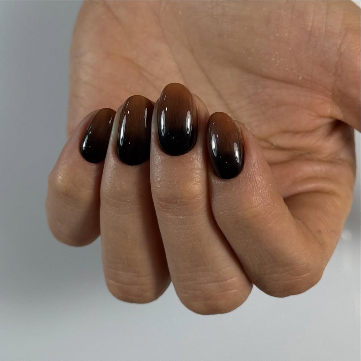 Glossy Deep Brown To Black Ombre Oval Nails
