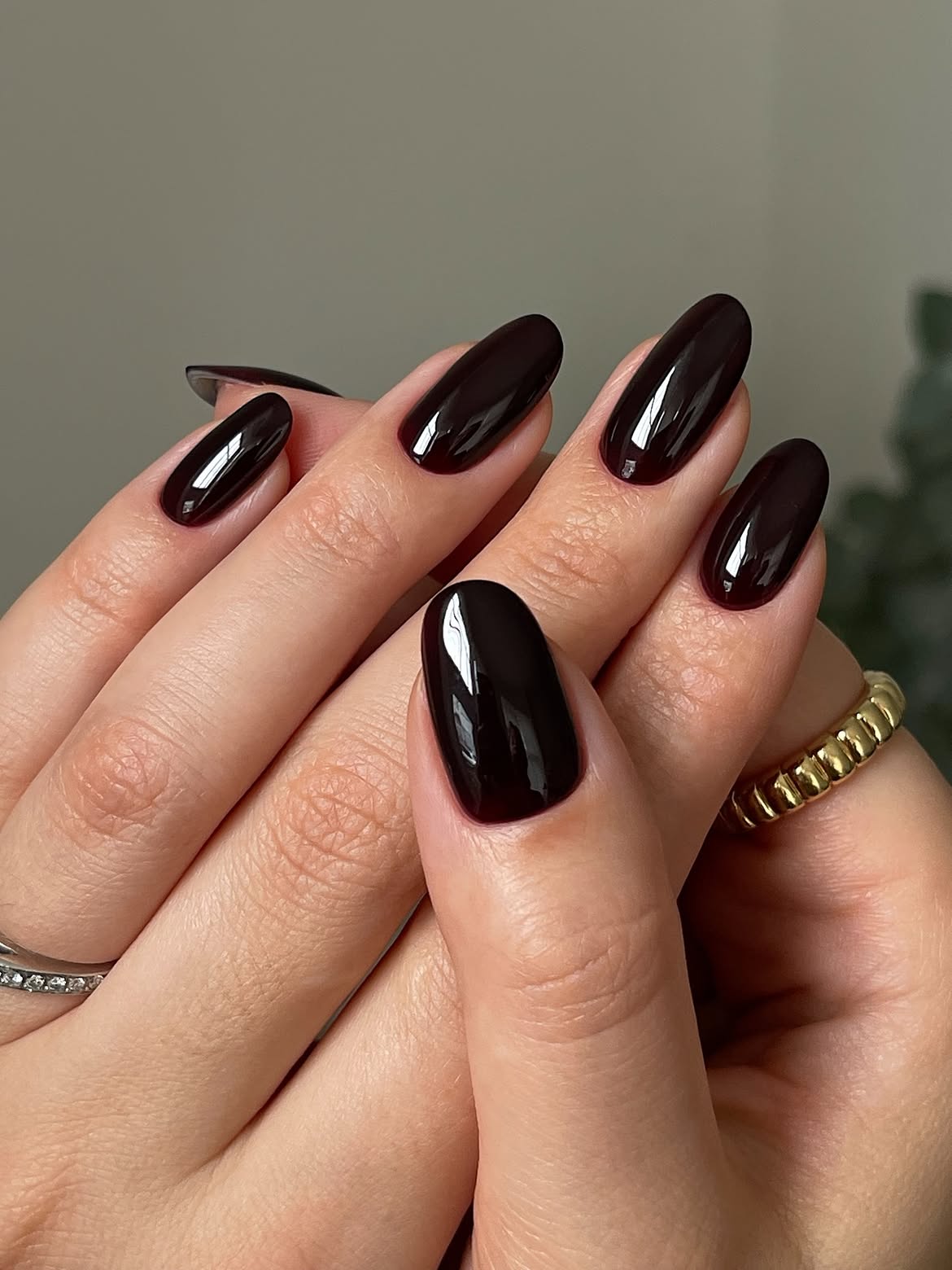 Glossy Deep Chocolate Oval Nails