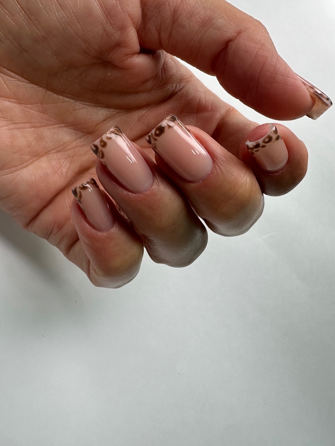 Leopard Print French Tip Almond Nails