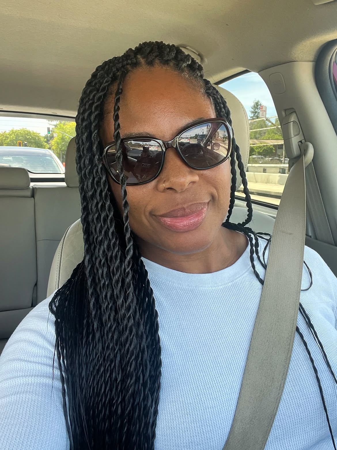 Long Box Braids With Defined Twists