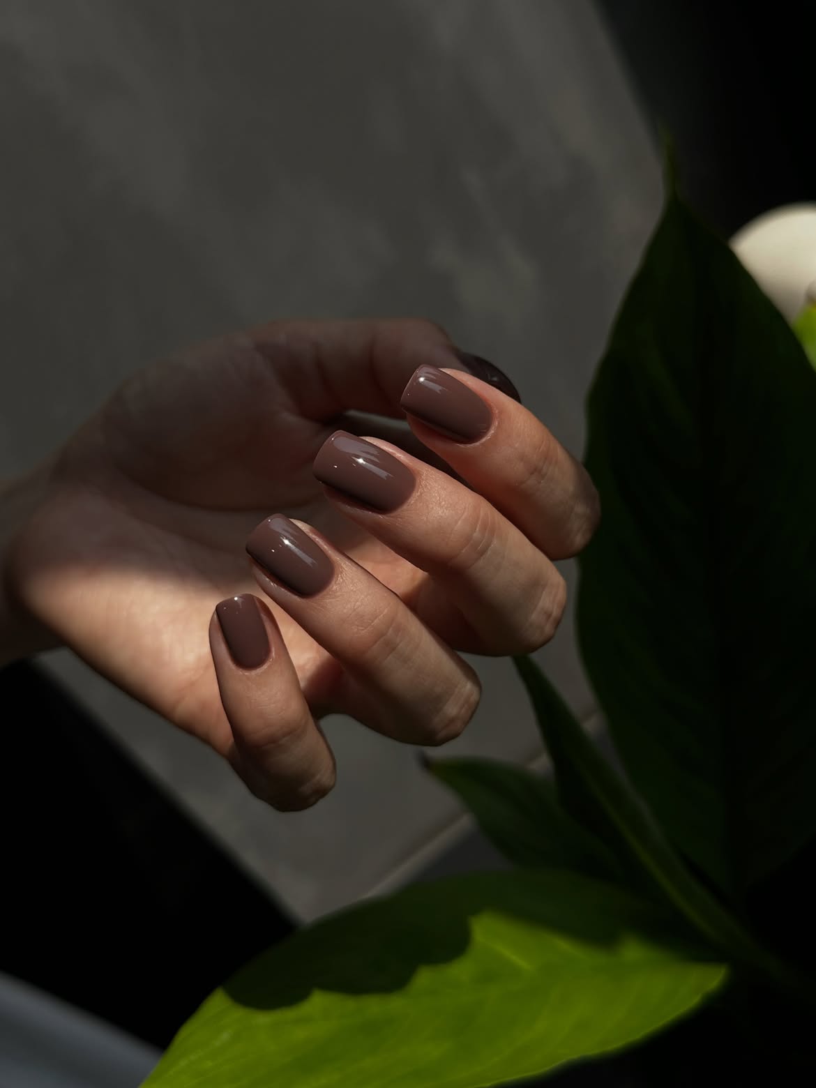 Rich Chocolate Glossy Square Nails