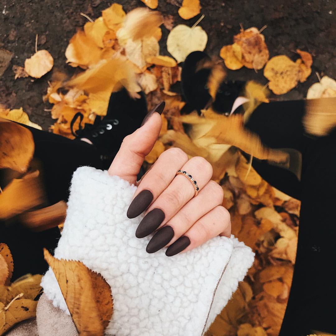 Rich Coffee Matte Almond Nails