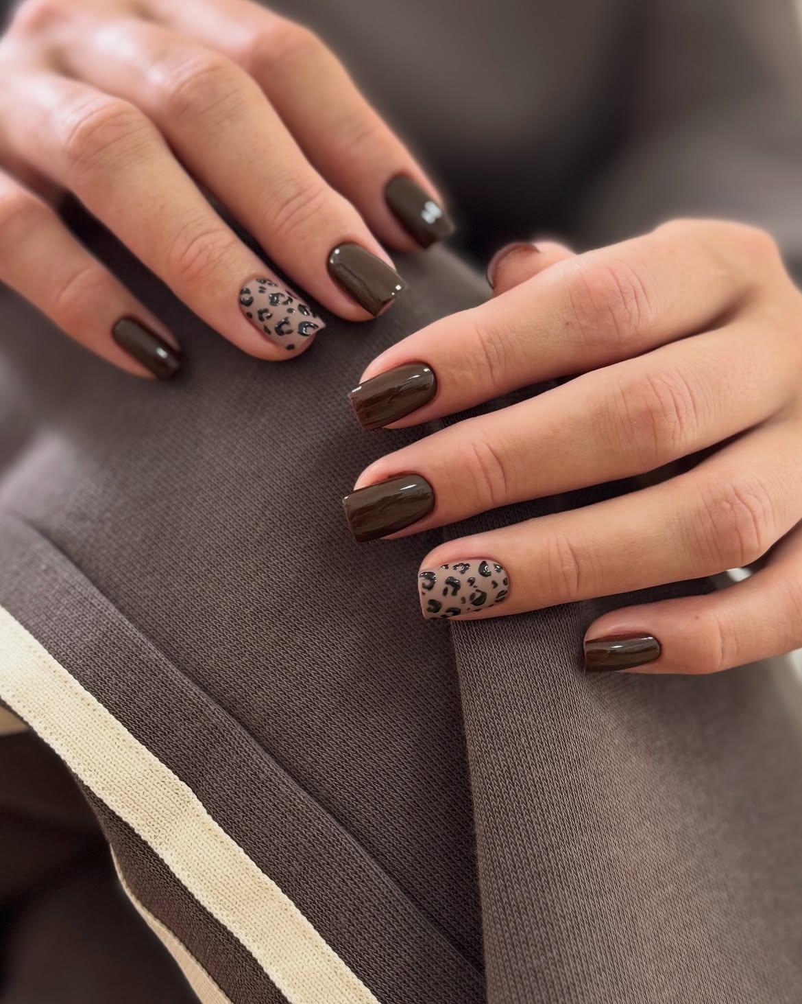 Rich Espresso Brown with Subtle Leopard Accent