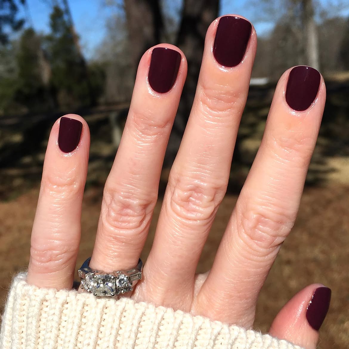 Rich Plum Glossy Short Round Nails