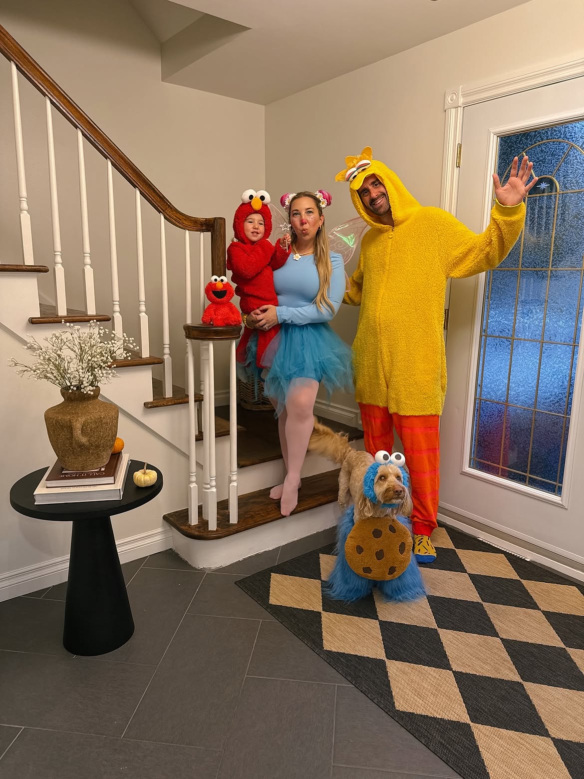 Sesame Street Family Costume Trio
