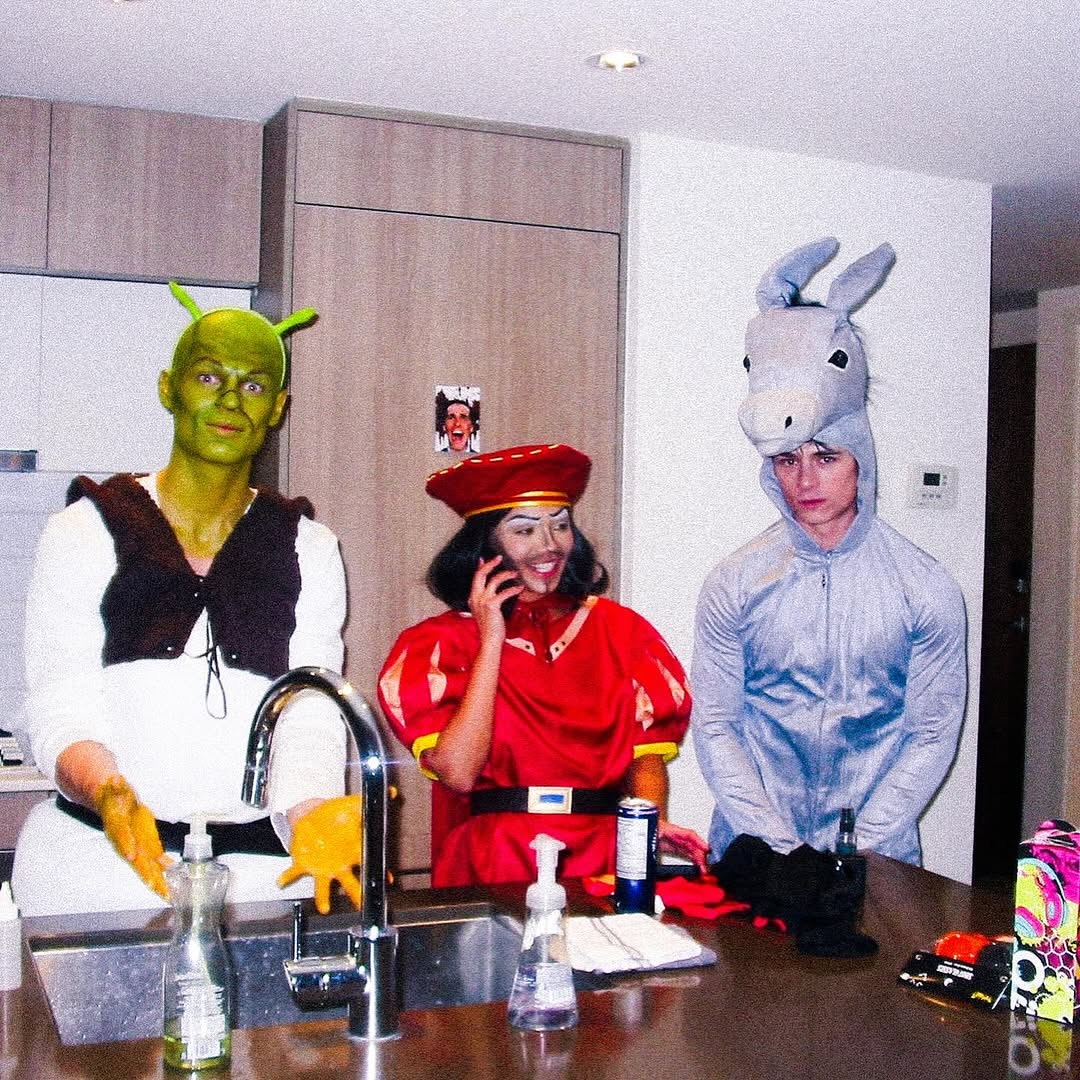 Shrek, Donkey, and Fiona Trio Halloween Costumes