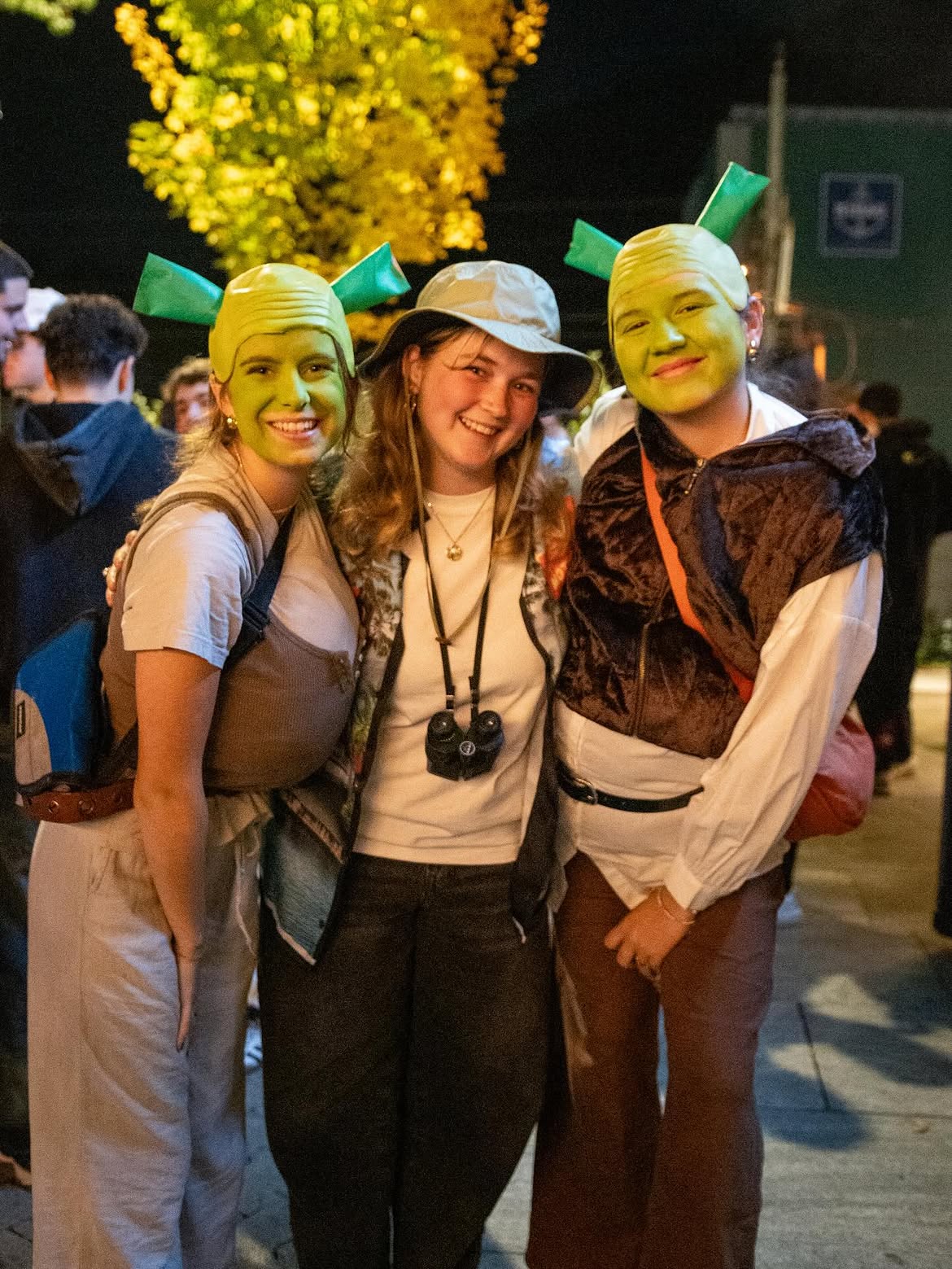 Shrek Fairytale Trio Halloween Costumes