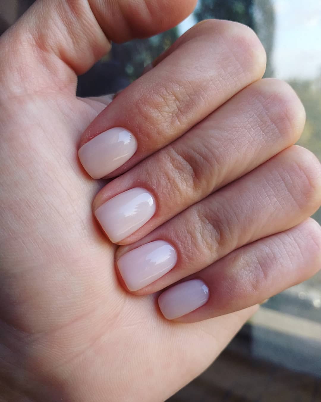 Soft Milky Pink Short Squoval Nails