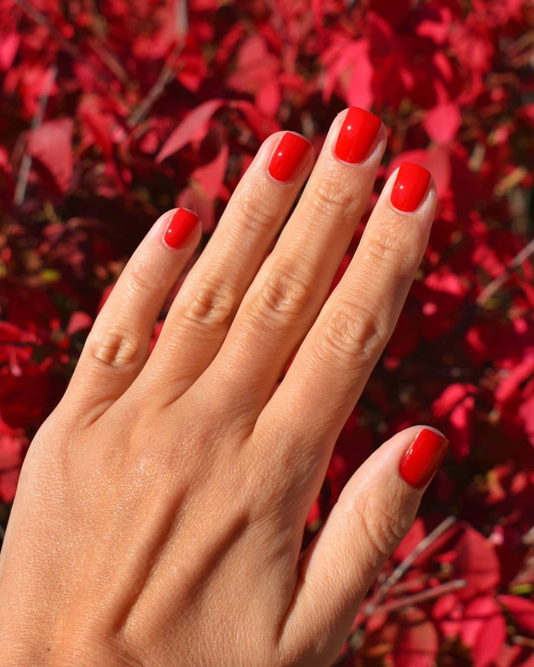 Vibrant Red Glossy Short Round Nails