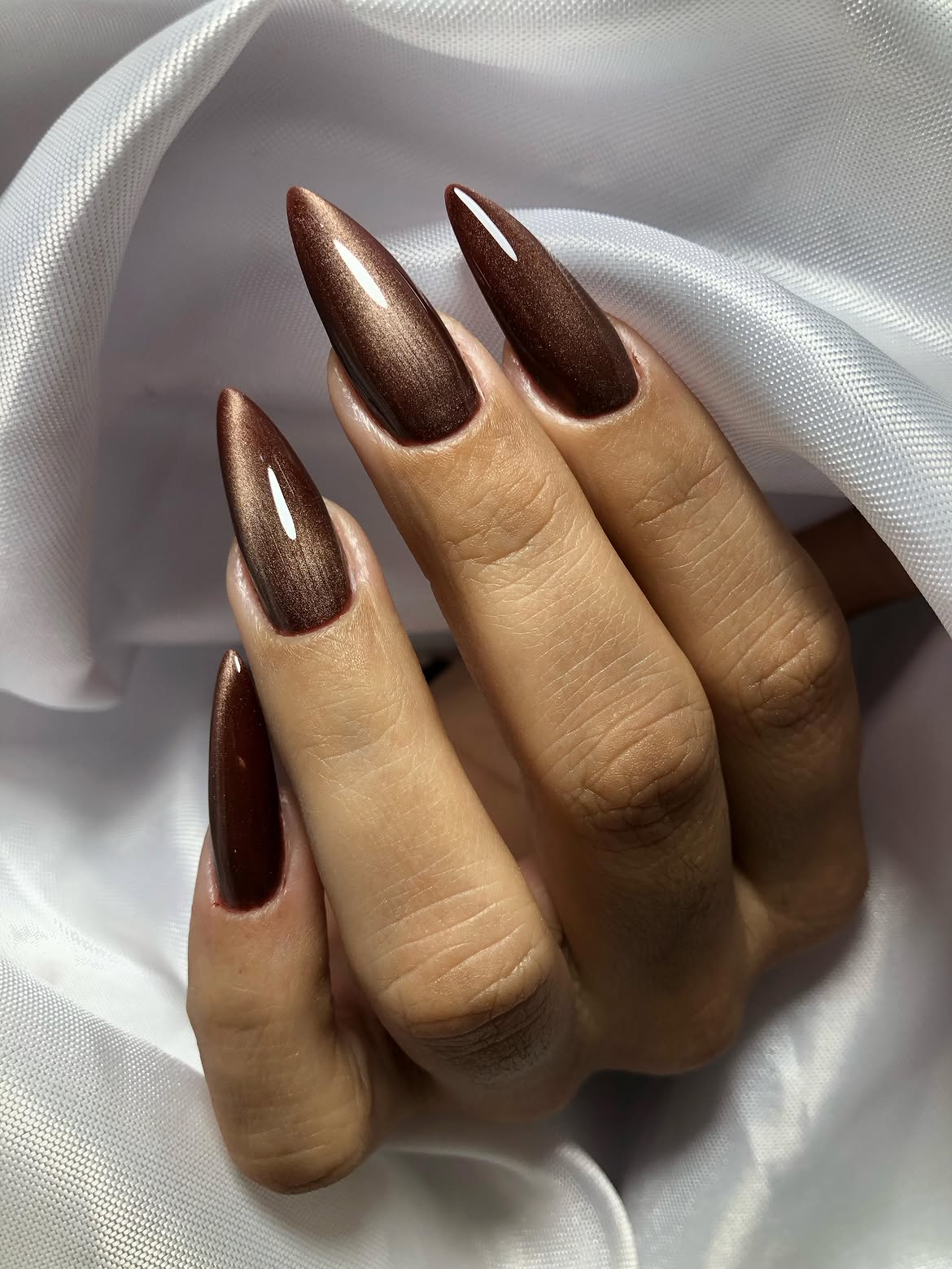 Warm Metallic Bronze Stiletto Nails