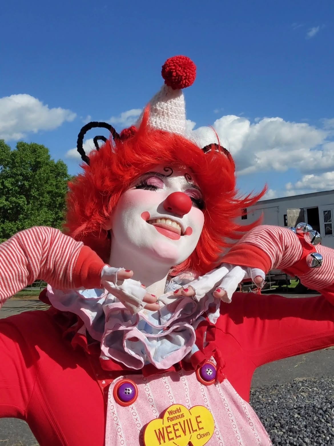 Wild Crimson Clown Wig With Funky Spirals