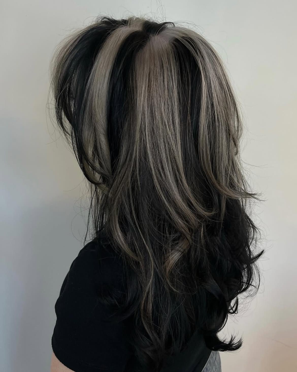 Bold Black and Silver Skunk Hair