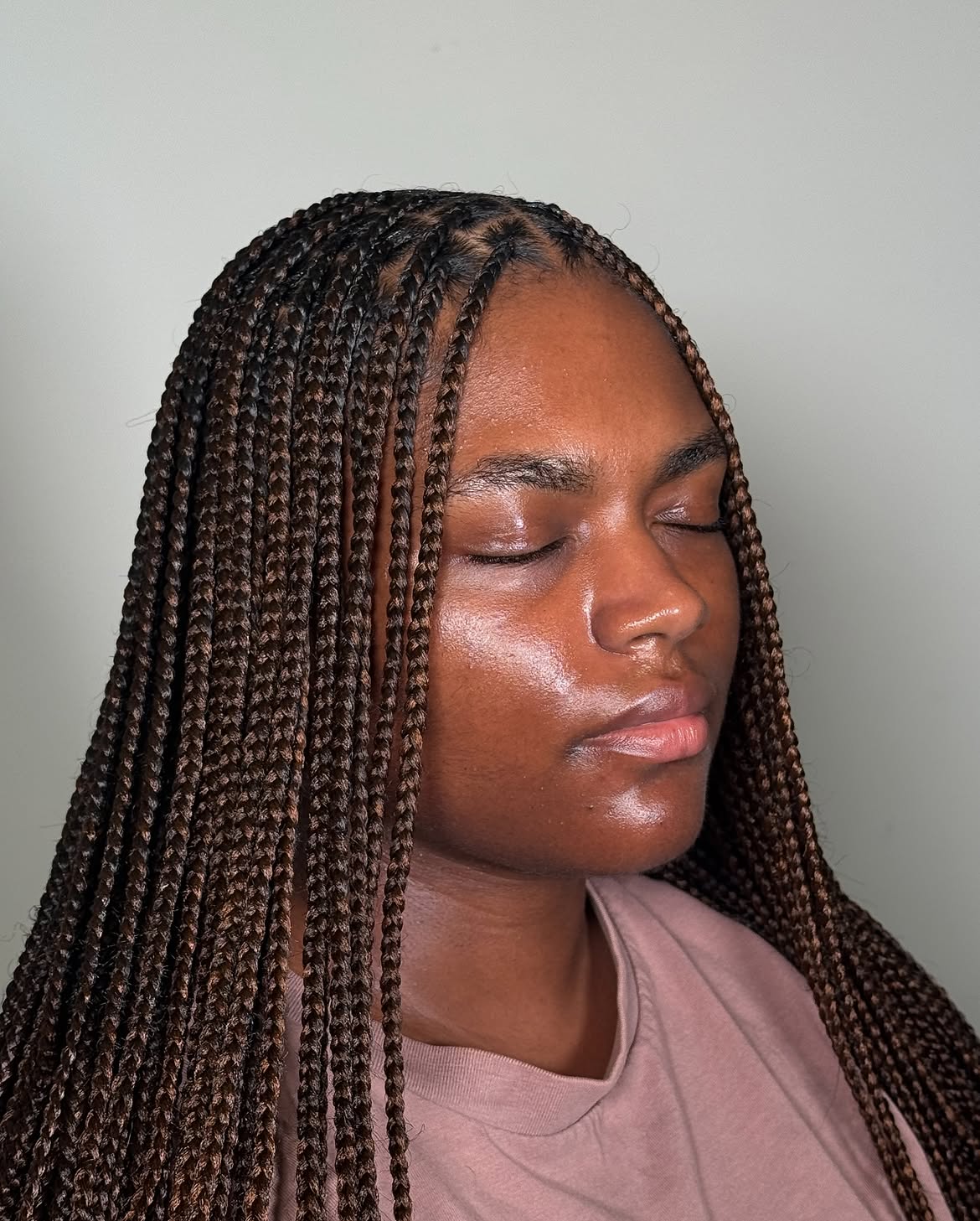 Chic Medium Box Braids With Honey Brown Highlights