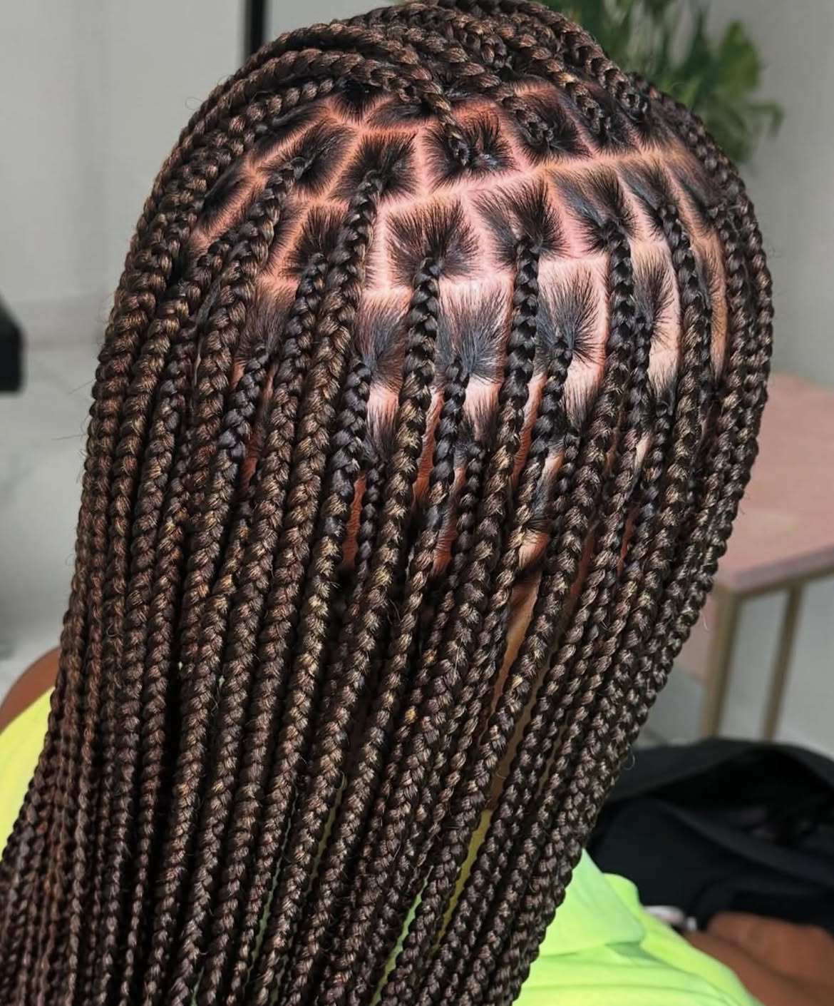 Chic Medium Knotless Braids With Subtle Highlights