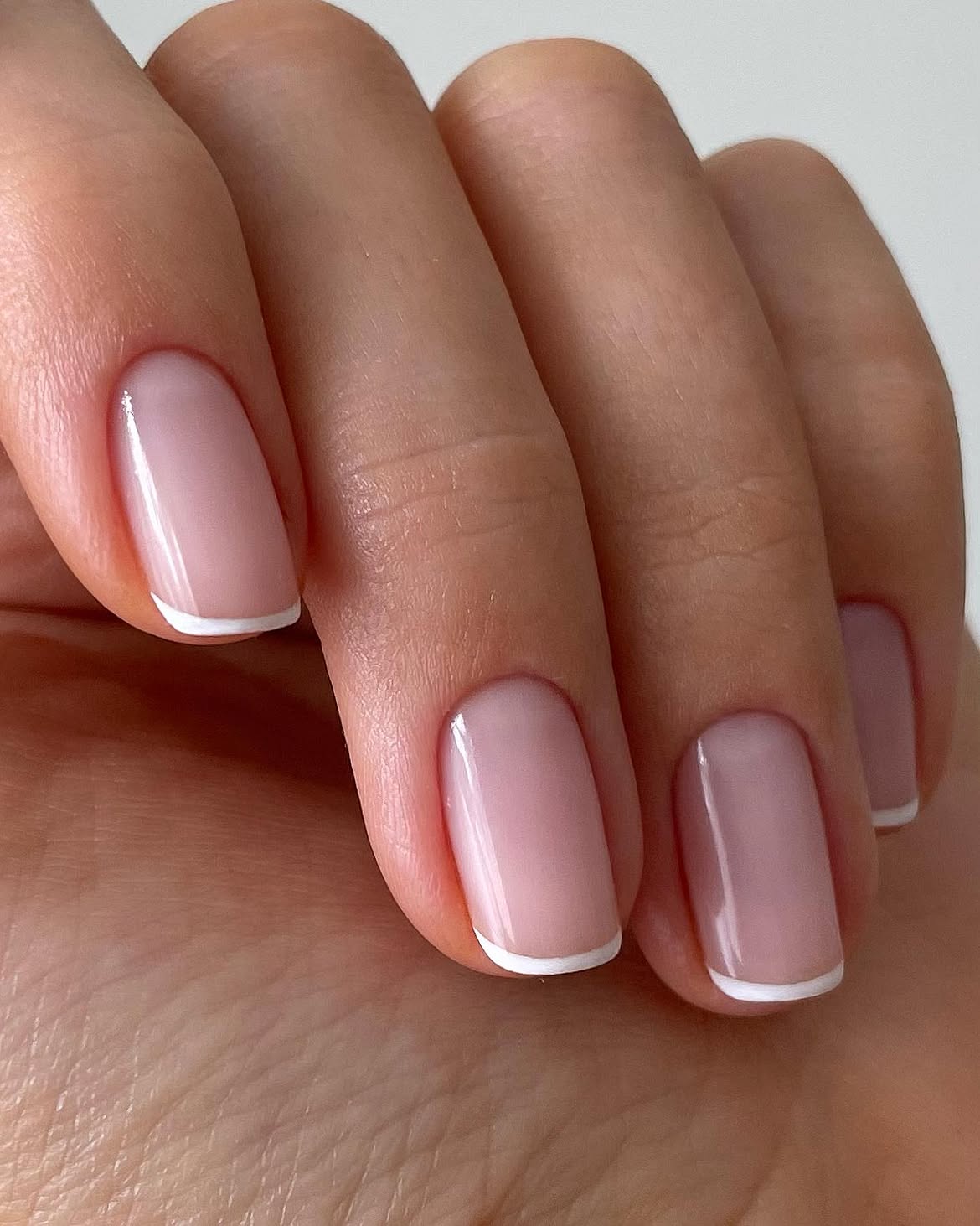 Classic Milky Pink French Tip Nails