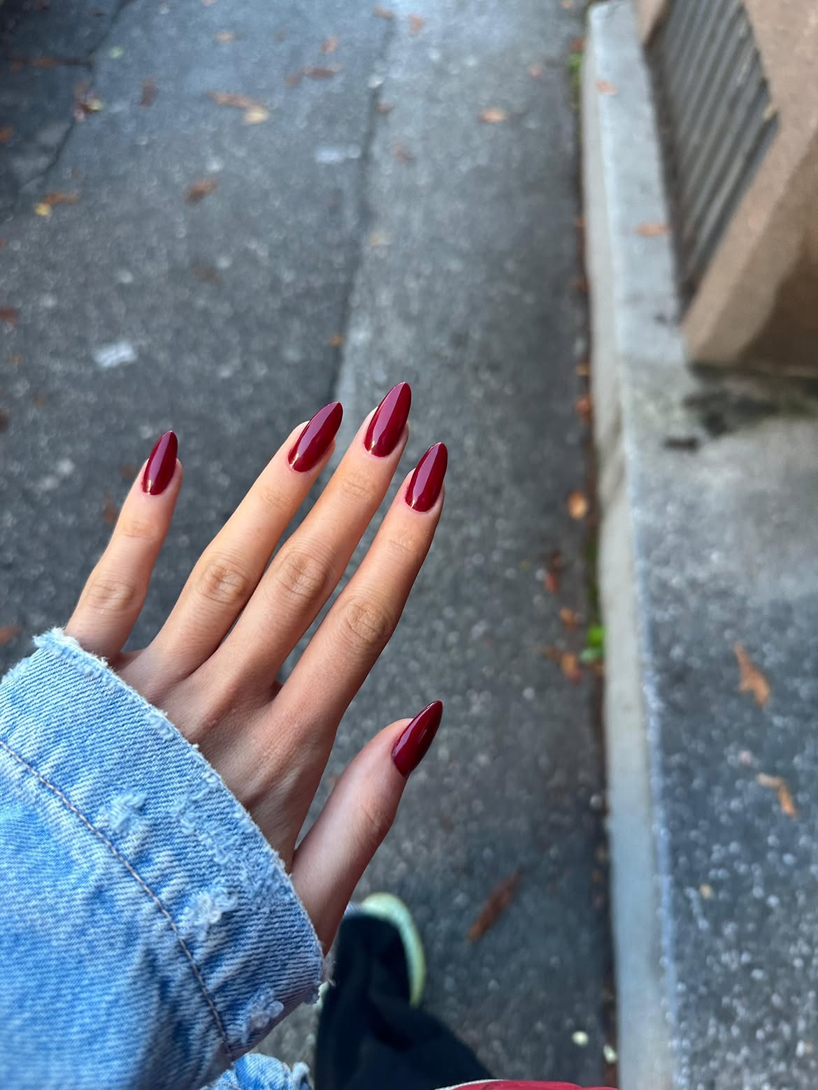 Deep Burgundy Glossy Almond Nails