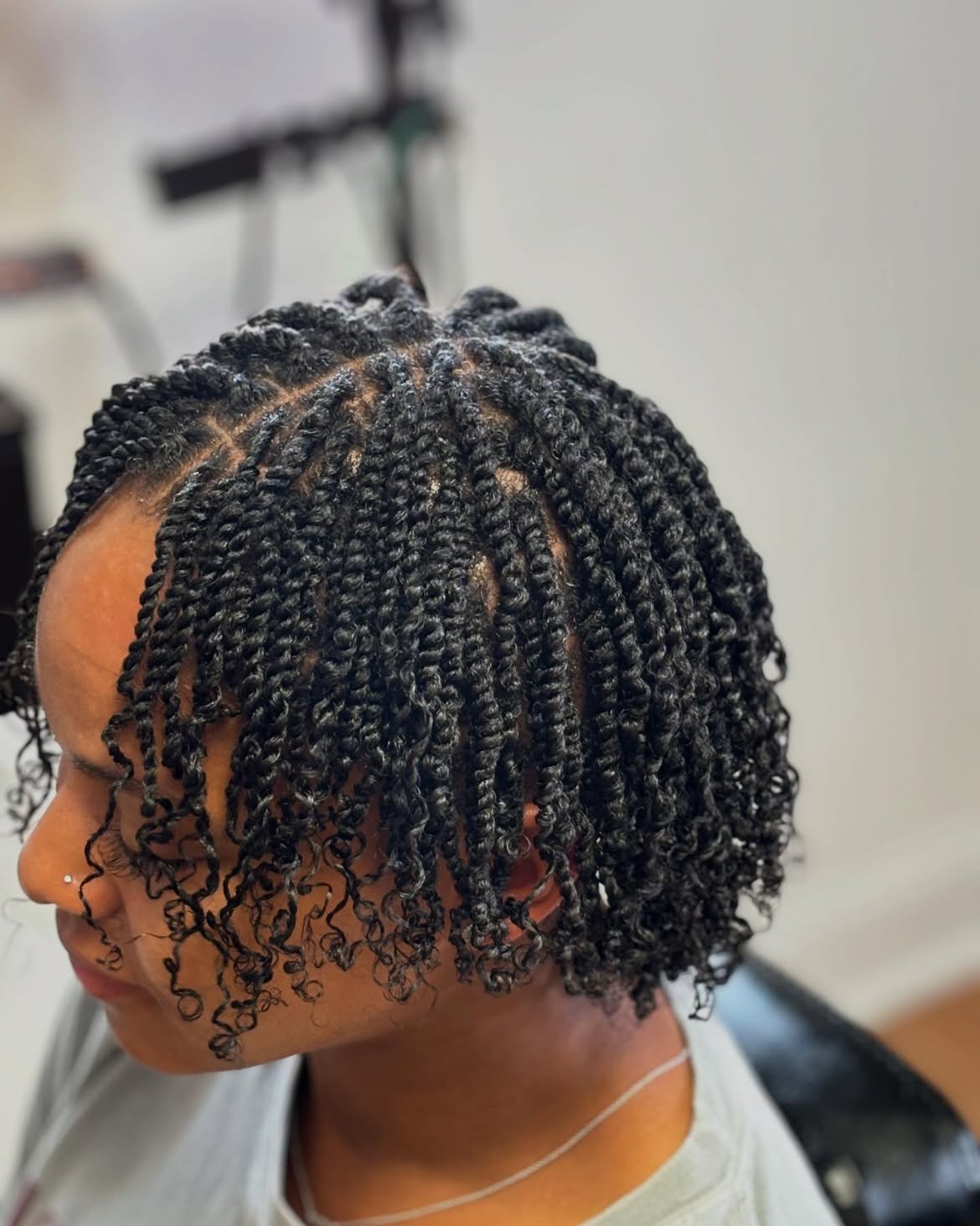 Defined Mini Twists On Natural Coily Hair