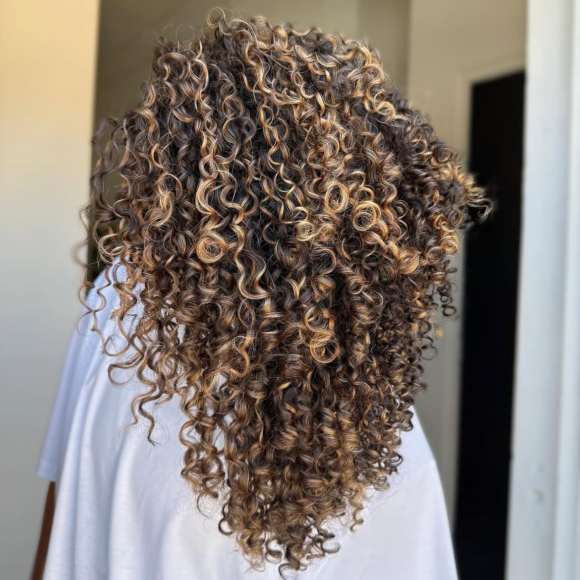 Dimensional Caramel Highlights On Long Curly Layers