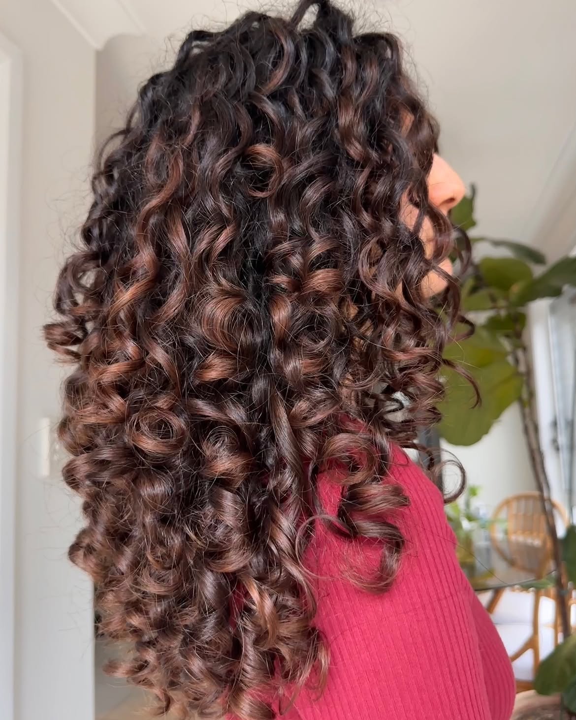 Dimensional Chocolate Brown Curls With Warm Highlights