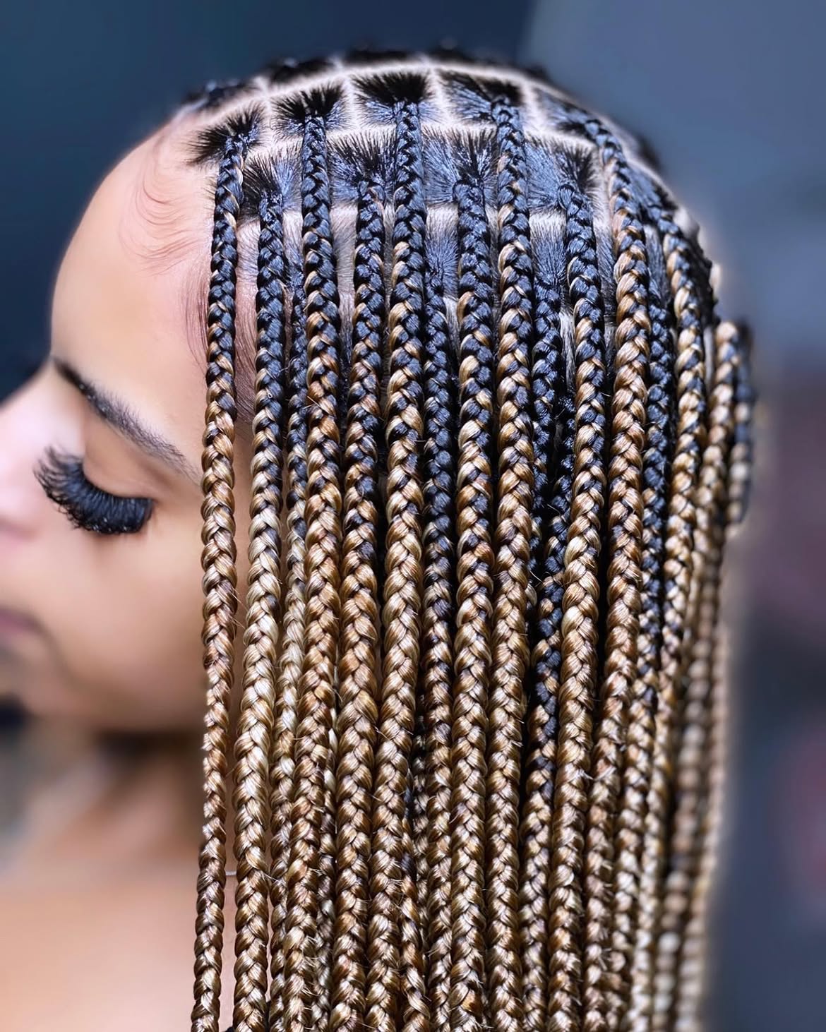 Elegant Box Braids With Honey Blonde Ombre