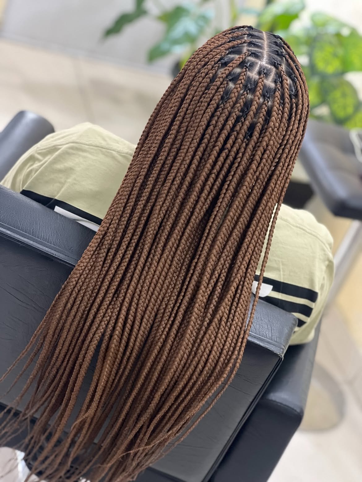 Elegant Chocolate Brown Knotless Braids
