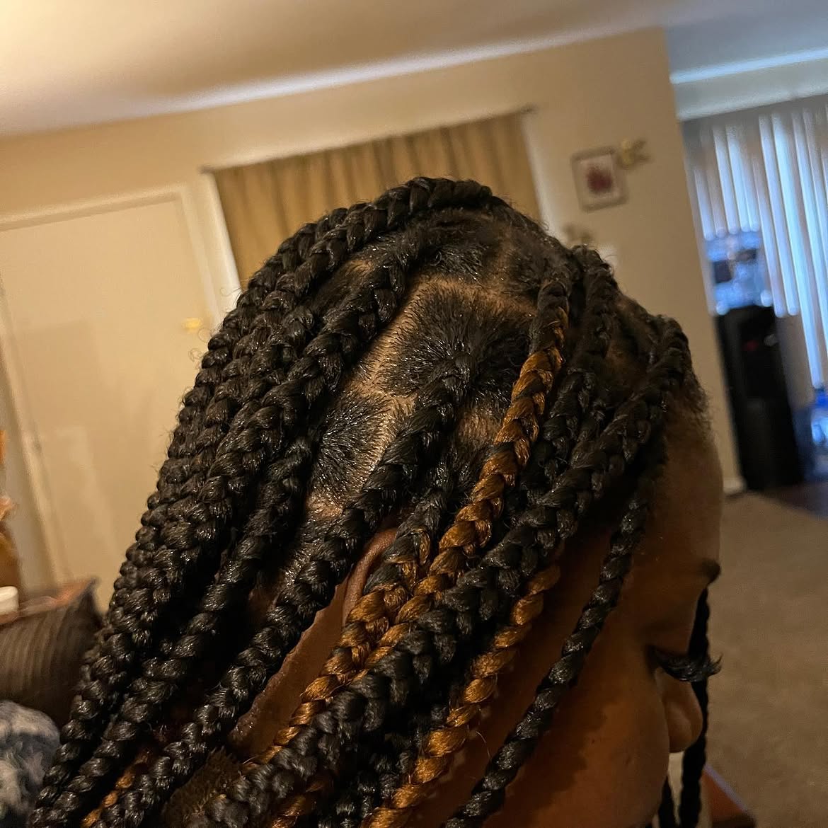 Elegant Medium Knotless Braids With Caramel Highlights