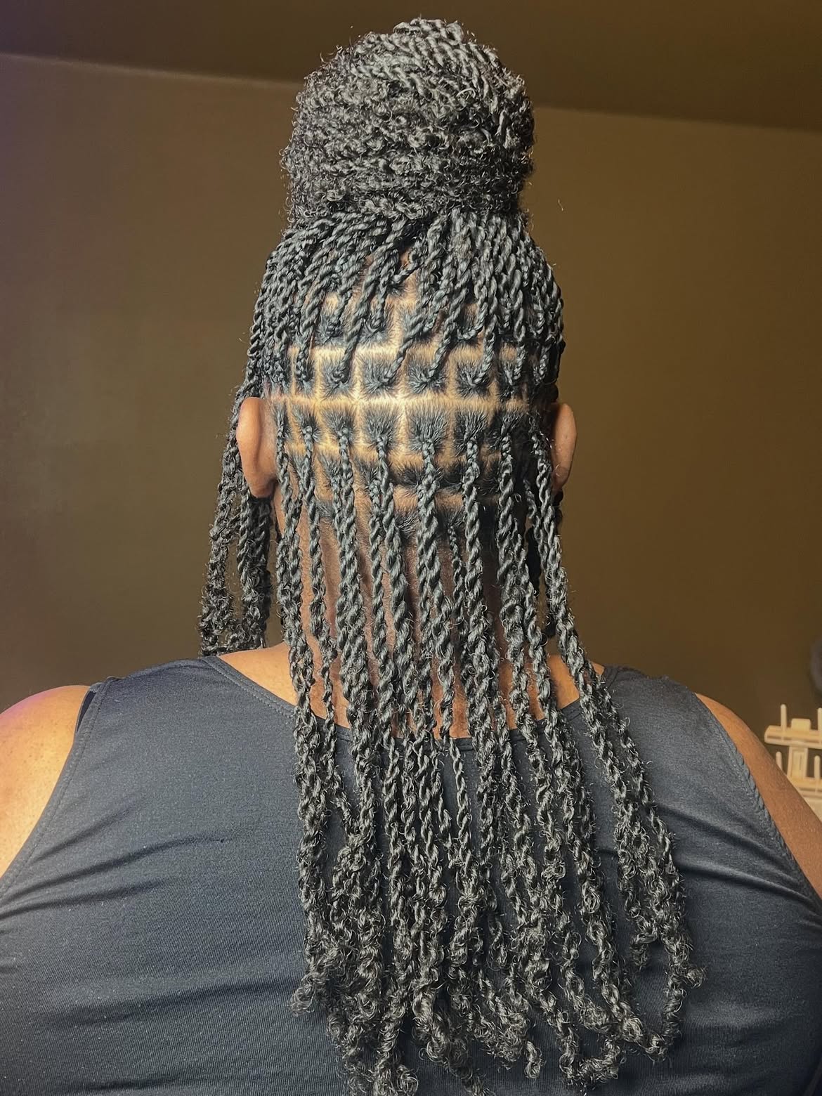 Half Up Mini Twists With Defined Box Parts